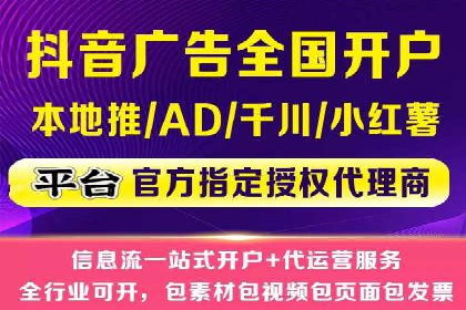 百度竞价与搜索引擎优化（SEO）的协同效应案例